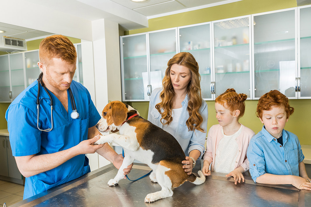 Vet CLinic Biała